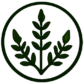 Logo de CimaHerbal con hoja verde en emblema circular transparente